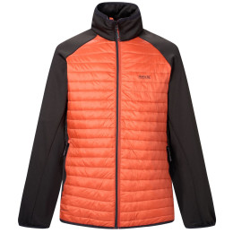 Veste homme Regatta Clumber Hybrid
