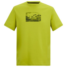 T-shirt homme Regatta Fingal vert DARK TANG
