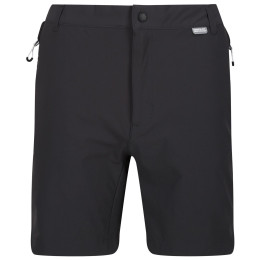 Short homme Regatta Mountain ShortsII M gris / noir Ash/Black