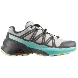 Chaussures femme Salomon Speedcross Peak gris / bleu Icicle / Castlerock / Aruba Blue