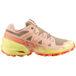 Chaussures running femme Salomon Speedcross 6