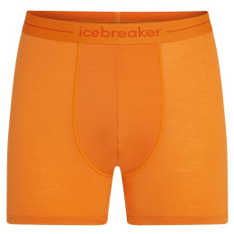 Caleçon homme Icebreaker Mens Anatomica Boxers orange Ray