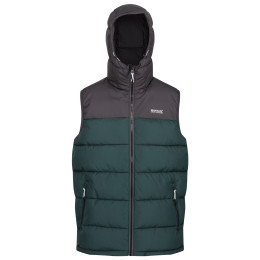 Gilet homme Regatta Nevado B/W vert / gris DkGry/GrnGab