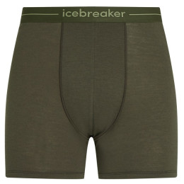 Caleçon homme Icebreaker Mens Anatomica Boxers