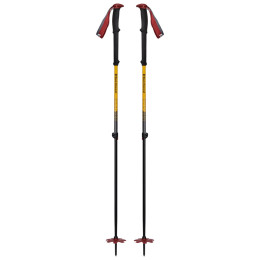 Bâtons ski Black Diamond Expedition JC