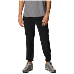 Pantalons de survêtement hommes Columbia Hike™ Jogger vert Black