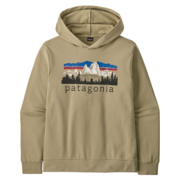 Sweat-shirt homme Patagonia M's Fitz Roy Foothills Daily Hoody gris / vert Weathered Stone