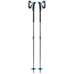 Bâtons de ski alpin Leki Guide Lite 2 vert / bleu silvergray-petrol-black