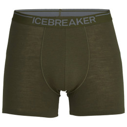 Caleçon homme Icebreaker Mens Anatomica Boxers