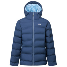 Veste homme Regatta Altoro Thermal