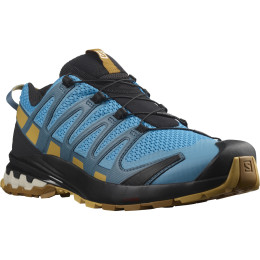 Chaussures de running hommes Salomon Xa Pro 3D V8