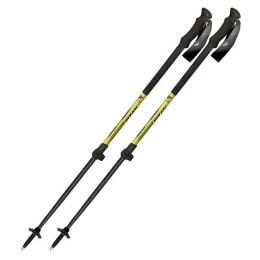 Bâtons de ski alpin Fizan Aria