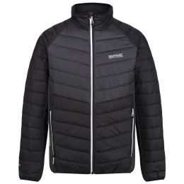 Veste homme Regatta Halton IV vert black/ash
