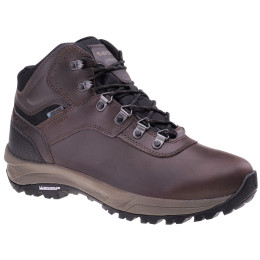 Chaussures homme Hi-Tec Altitude VI I Wp brun foncé Dark Chocolate