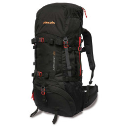 Sac à dos Pinguin Activent 55 (2019) vert