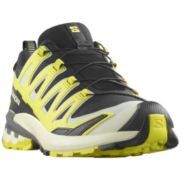 Chaussures randonnée homme Salomon Xa Pro 3D V9 Gore-Tex