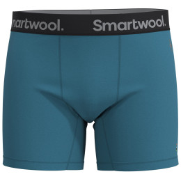 Caleçon homme Smartwool M Boxer Brief Boxed