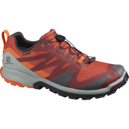 Chaussures homme Salomon Xa Rogg GTX