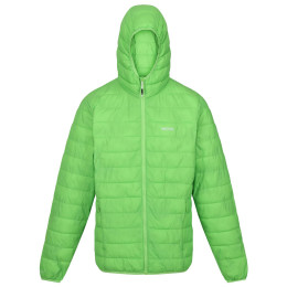 Veste d'hiver homme Regatta Hooded Hillpack vert clair JasmineGreen