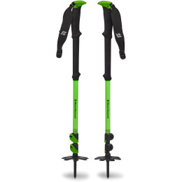Bâtons de ski alpin Black Diamond Expedition WR 3 green