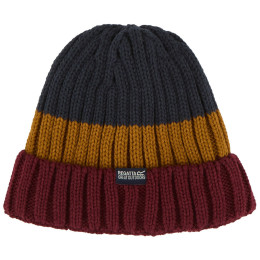 Bonnet d'hiver Regatta Davion Hat V