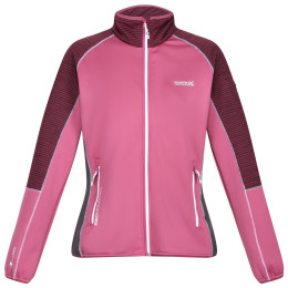 Sweat-shirt femme Regatta Wmns Yare VI rose Violet/AmaHz