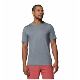 T-shirt homme Columbia Parsons Point™ SS Back Graphic Tee gris City Grey Heather, Linear Peaks