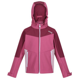 Veste enfant Regatta Eastcott II violet Violet/AmaHz