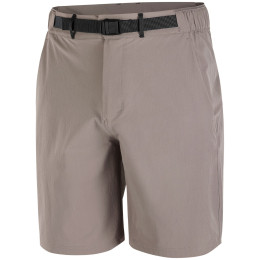 Shorts homme Salomon Wayfarer 2.0 short M gris Iron
