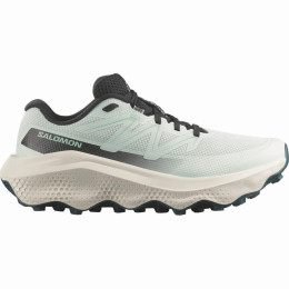 Chaussures femme Salomon Ultra Flow 2 W