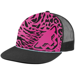 Casquette Dynafit Graphic Trucker Cap