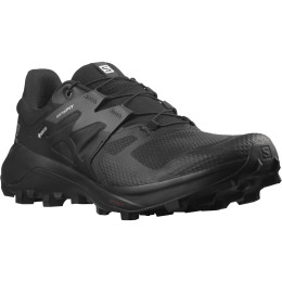 Chaussures homme Salomon Wildcross 2 Gore-Tex vert Black(PantoneTapShoe)