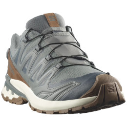 Chaussures homme Salomon Xa Pro 3D V9 Gore-Tex Lifelong