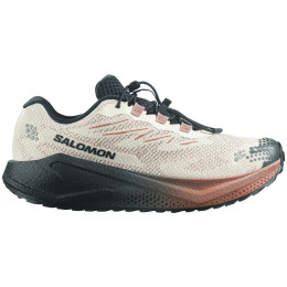 Chaussures homme Salomon Aero Blaze 4 Grvl Gtx