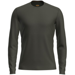 T-shirt homme Icebreaker Mens 200 Oasis LS Crewe