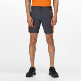 Short homme Regatta Highton Pro Short gris / orange IndiaGry/Fox