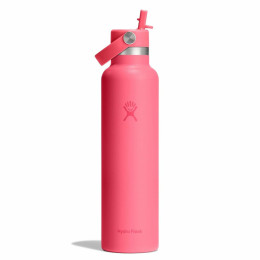 Thermos Hydro Flask Standard Flex Straw Cap 21 oz