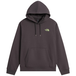 Sweat-shirt homme The North Face U Nse Slopes Relaxed Hoodie - Graphic gris ANTHRACITE GREY