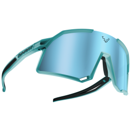 Lunettes soleil Dynafit Trail Evo Sunglasses turquoise 8050 - marine blue/blueberry