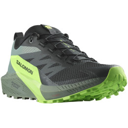 Chaussures de running hommes Salomon Sense Ride 5 noir/vert Black