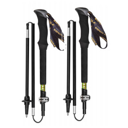 Bâtons randonnée Vipole Approach Long Dlx vert