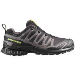 Chaussures randonnée homme Salomon Xa Pro 3D V9 Gore-Tex