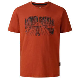 T-shirt enfant Dare 2b Trailbazer III Tee Arabian Spice brun ArabianSpice