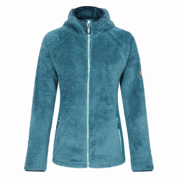 Sweat-shirt femme Dare 2b W Pro Torrek Midlayer vert - bleu KayakingGren