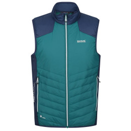 Gilet homme Regatta Halton BW VI bleu / vert PacifG/Admrl