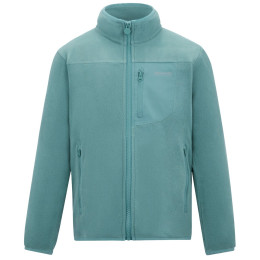 Sweatshirt enfant Regatta Junior Frankie F/Z Ivy Moss vert clair Ivy Moss