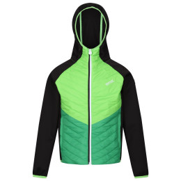 Veste enfant Regatta Kielder HybridVII vert Black/Jasmine Green