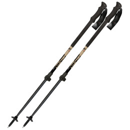 Bâtons de ski alpin Fizan Aria