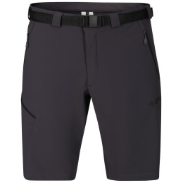Shorts homme Direct Alpine Cruise Shorts 3.0 noir / gris anthracite