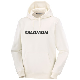Sweat-shirt homme Salomon Logo Hoodie M